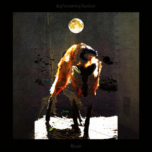 黄视频在线观看免费
