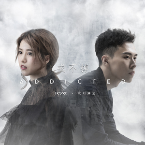 黄视频在线观看免费
