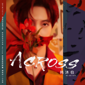 黄视频在线观看免费
