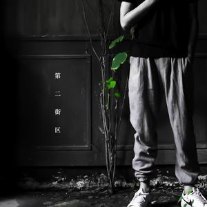 黄视频在线观看免费
