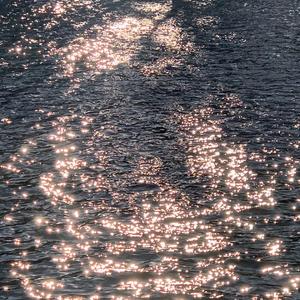 黄视频在线观看免费
