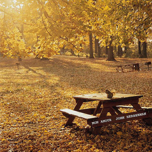 黄视频在线观看免费
