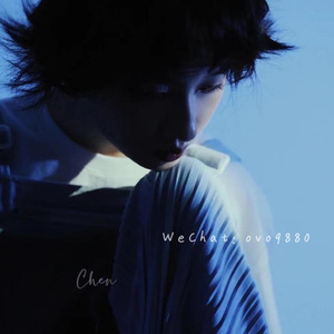 黄视频在线观看免费
