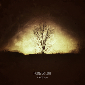 黄视频在线观看免费
