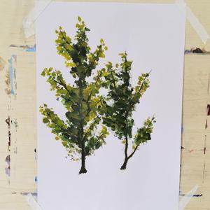 黄视频在线观看免费
